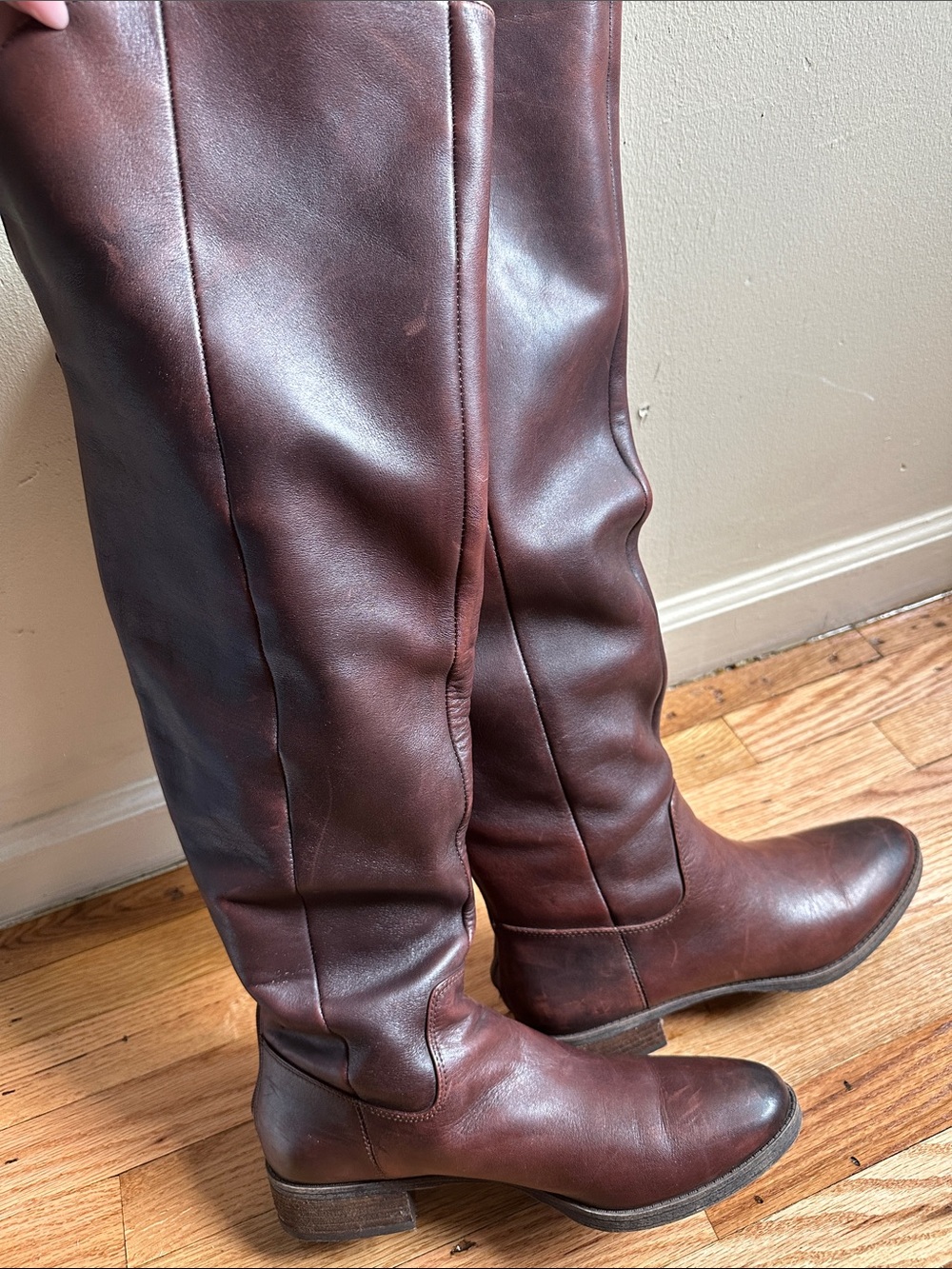 Classic Women's Tall Riding Boots in Brown